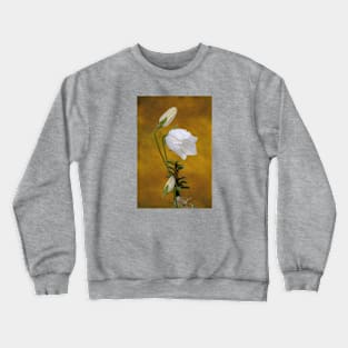 ‘Fairy Bellflower’ - dew-covered flowerhead with buds Crewneck Sweatshirt